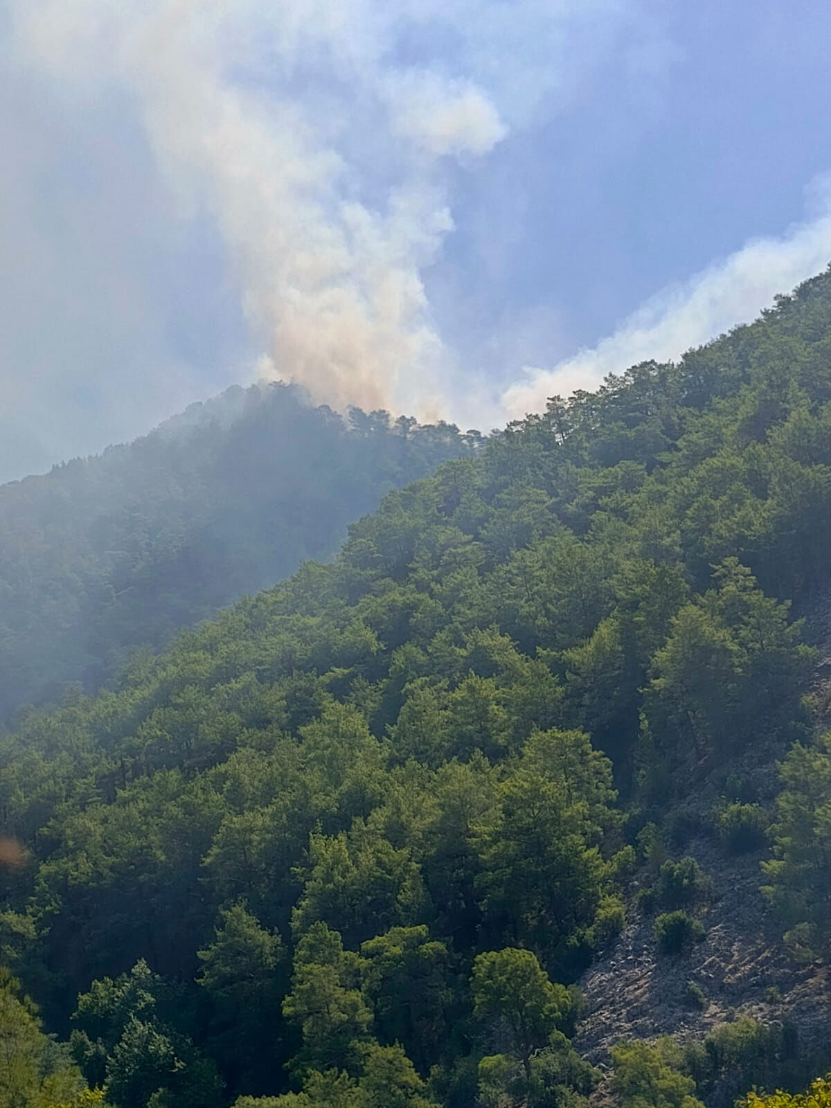 Mersin'de orman yangını çıktı! Havadan karadan müdahale ediliyor - 1. Resim