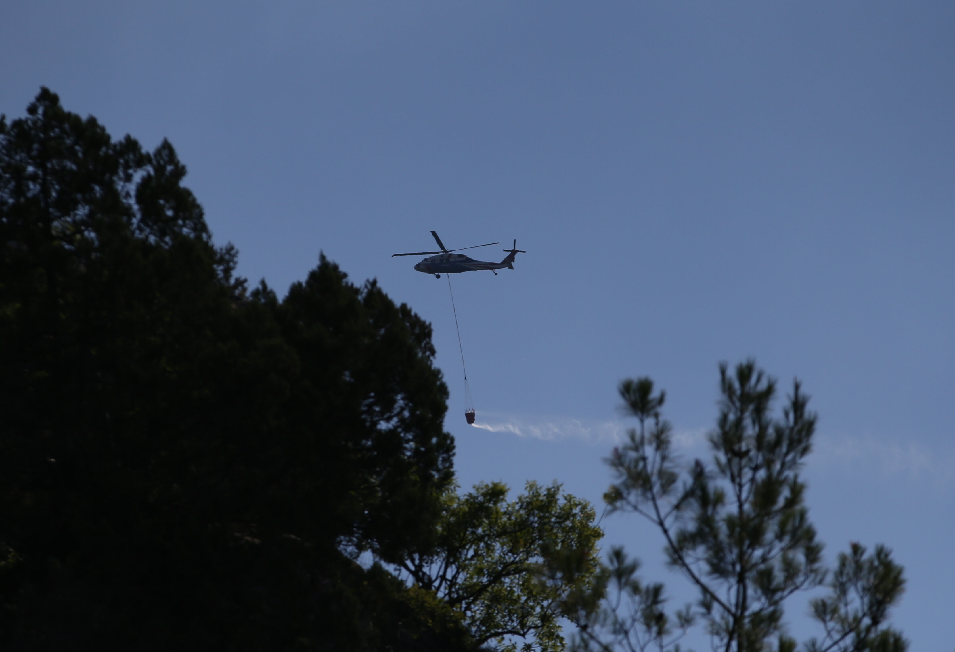 Sinop'ta orman yangını! Ekiplerin müdahalesi sürüyor - 1. Resim