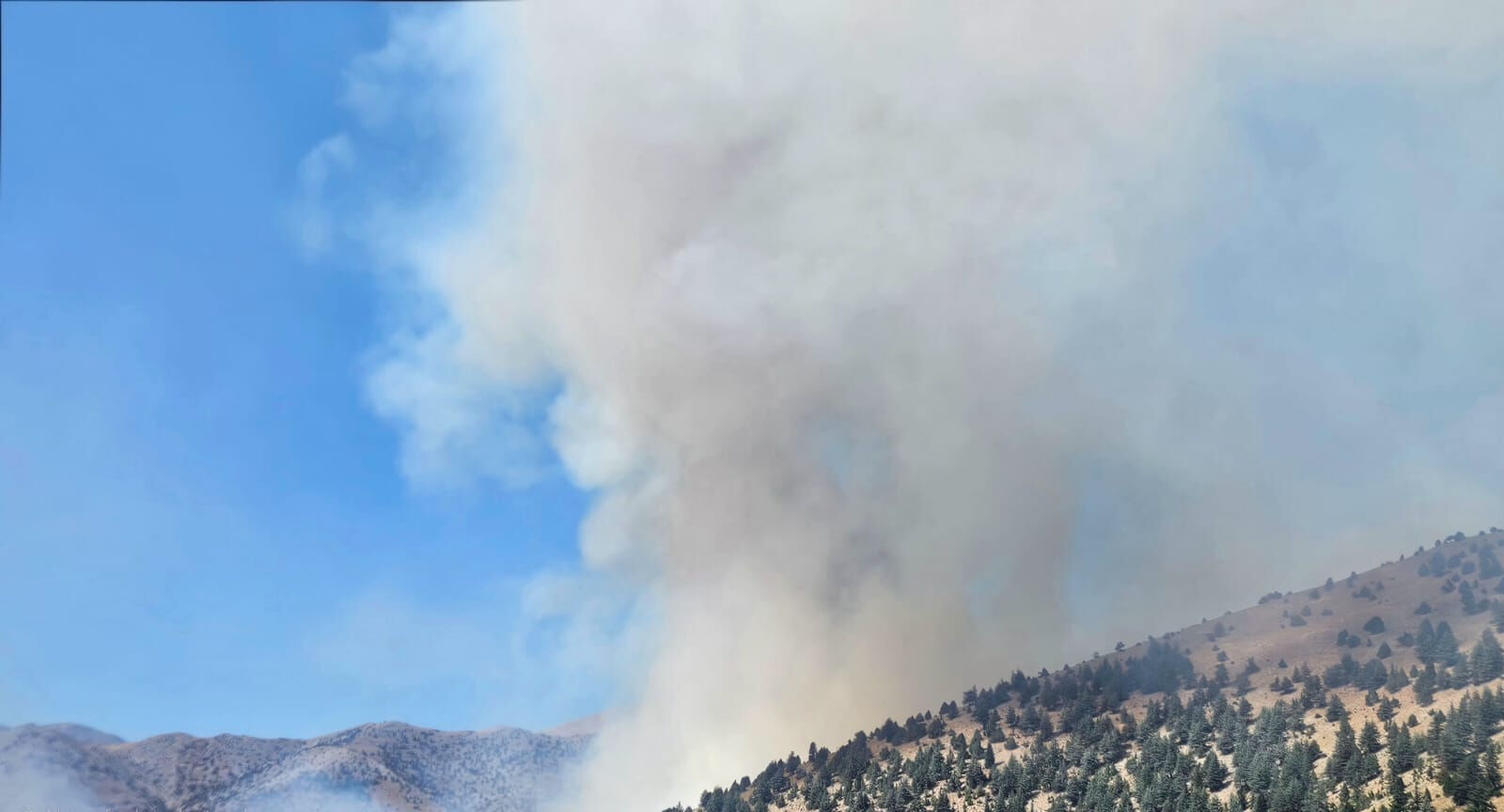 5 ilde orman yangını! Havadan ve karadan müdahale ediliyor - 2. Resim
