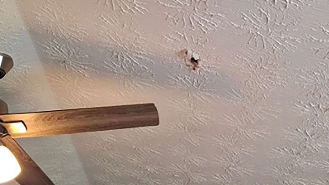 Bir evin çatısını delmişti! Dünya'dan daha yaşlı çıktı - 1. Resim