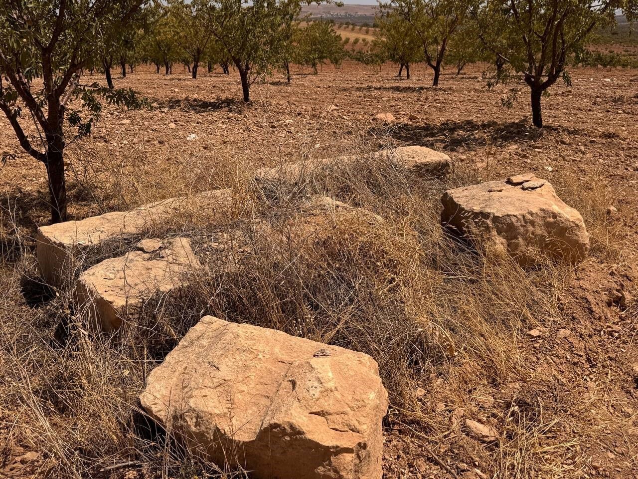 Bir şehri şaşkına çeviren keşif! Yıllarca mağara zannedildi fakat... - 1. Resim
