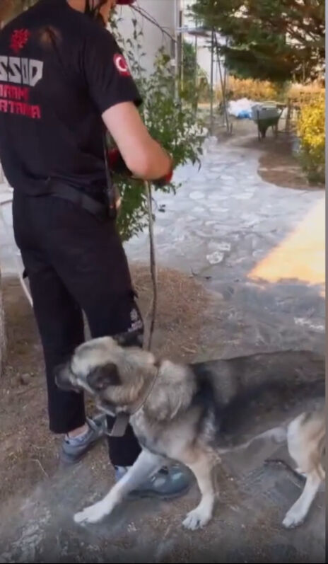 Çanakkale'de yangınında saatlerce mahsur kaldılar! Mehmetçik, alev çemberinin ortasındaki ekibi kurtardı - 5. Resim