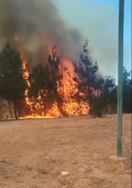 Çanakkale'de yangınında saatlerce mahsur kaldılar! Mehmetçik, alev çemberinin ortasındaki ekibi kurtardı - 6. Resim