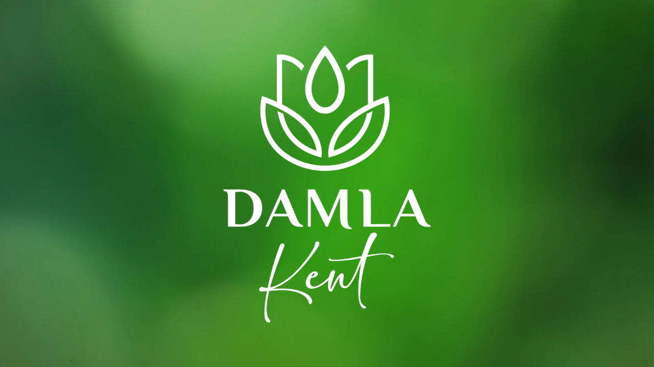 Damla Kent Projesi halka arz kaç lot verir? Damla Kent hisse fiyatı ve proje bitiş tarihi açıklandı - 1. Resim