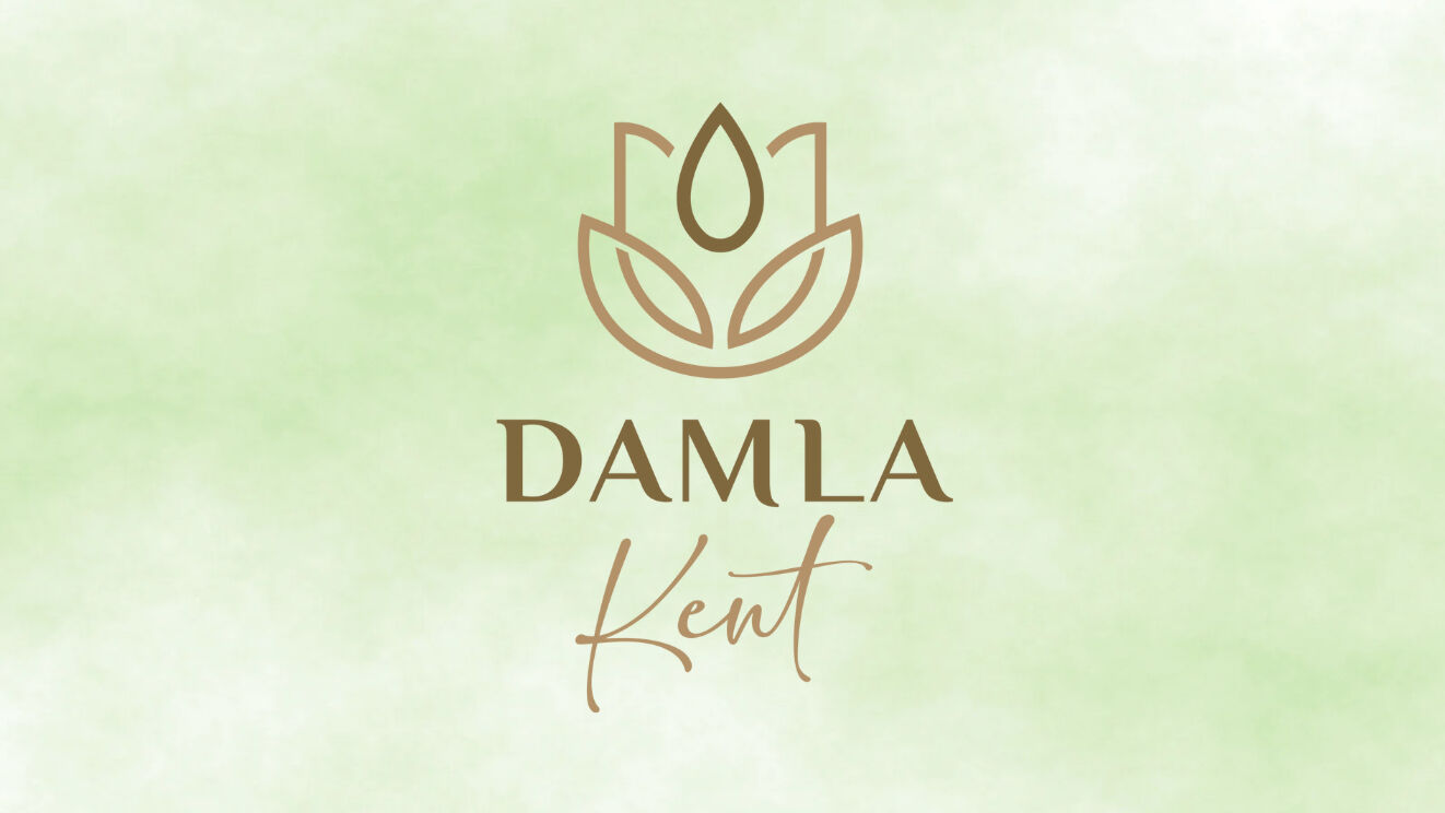 Damla Kent Projesi halka arz kaç lot verir? Damla Kent hisse fiyatı ve proje bitiş tarihi açıklandı - 4. Resim