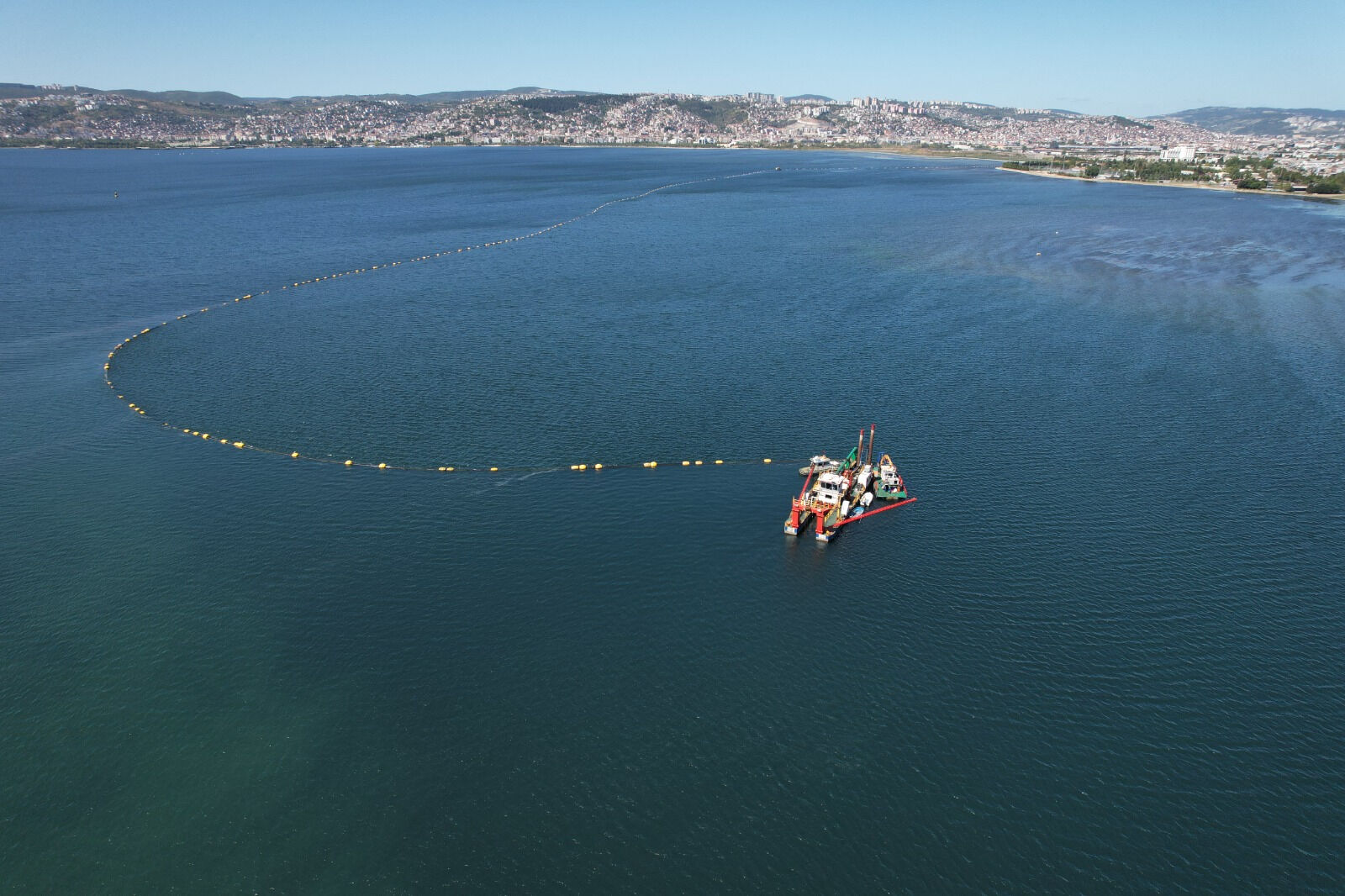 İzmit Körfezi kendine geldi! Çalışmalar sonuç verdi, popülasyon yüzde 35 arttı - 1. Resim