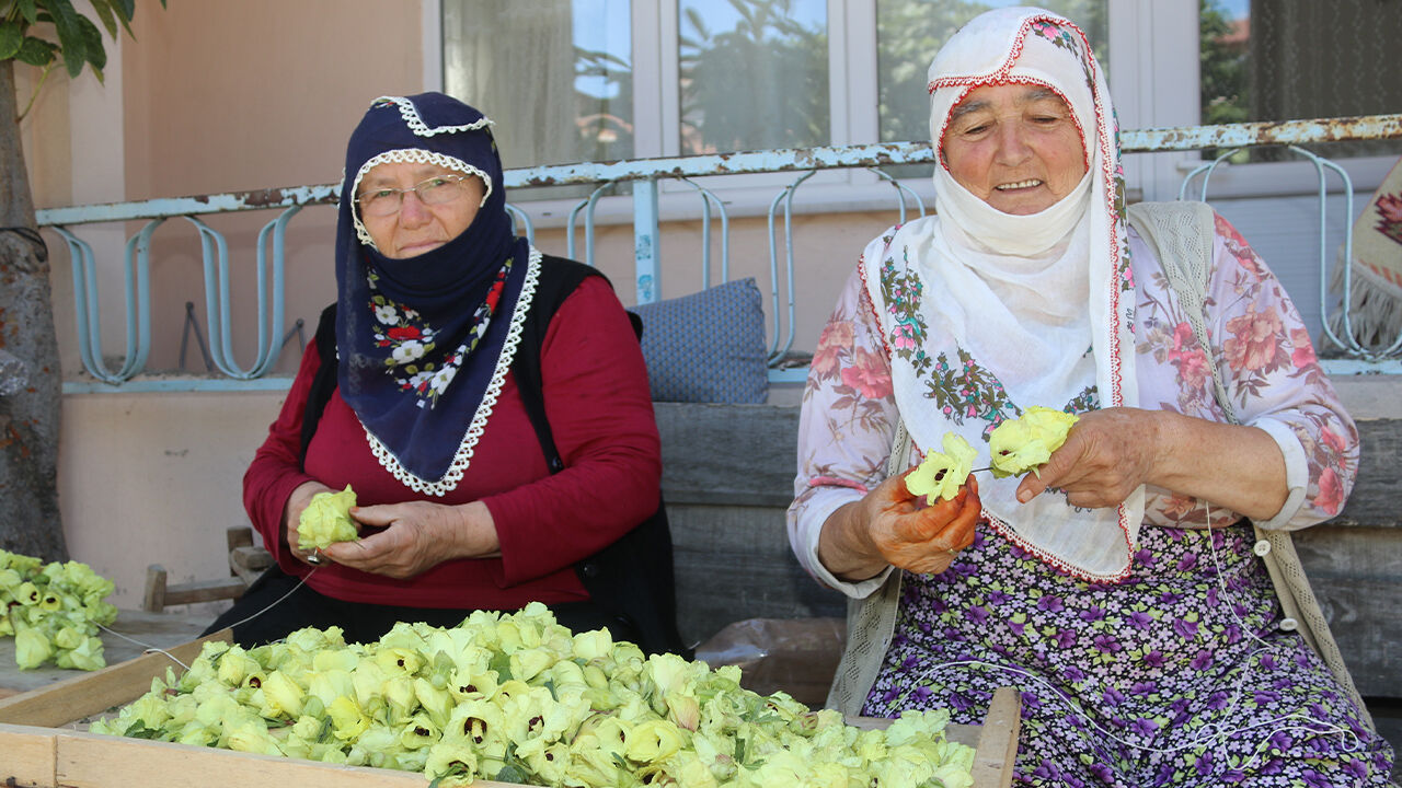 Tek tek ipe diziliyor! Doğanın narin güzelliğinde hasat başladı - 3. Resim