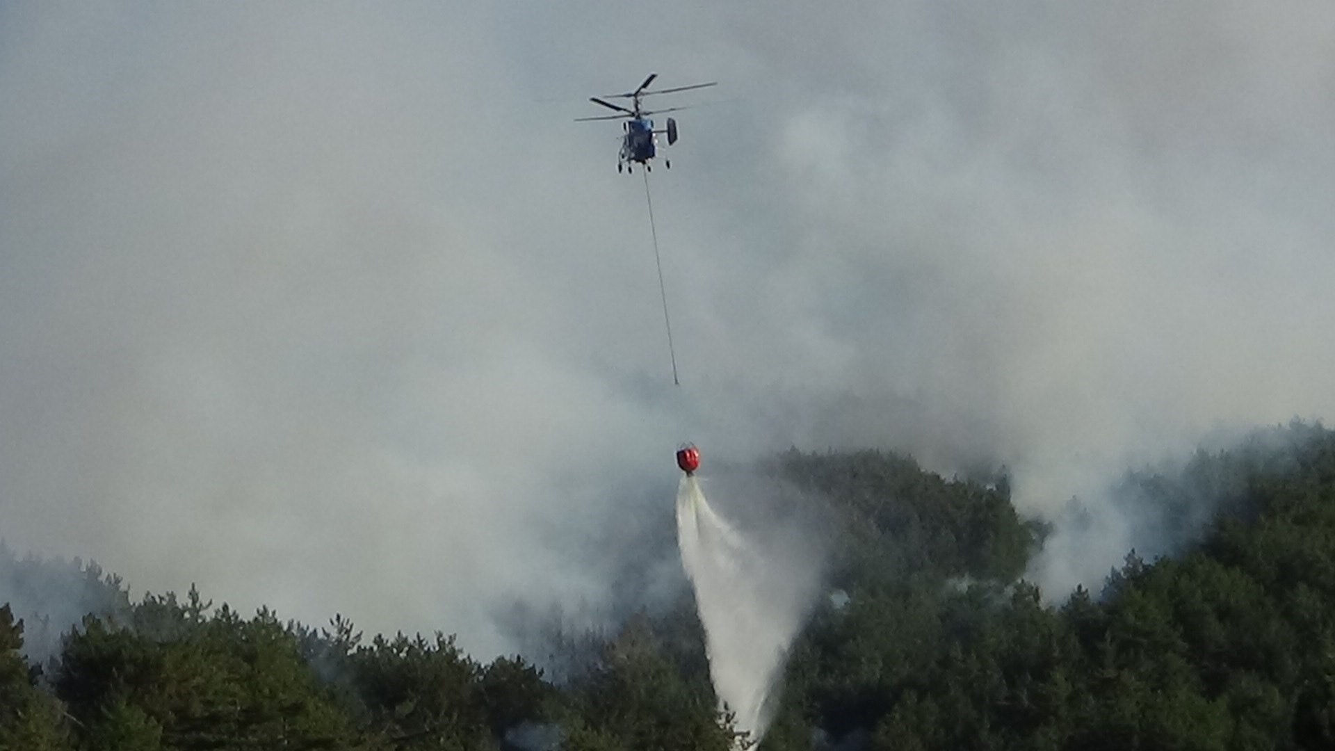 Çanakkale, Edirne, Hatay, Manisa'da orman yangını! Bakan Yumaklı son durumu paylaştı