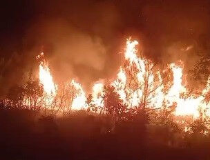 Çanakkale, Edirne, Hatay, Manisa'da orman yangını! Bakan Yumaklı son durumu paylaştı