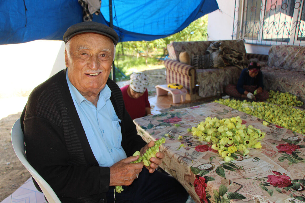 Her gördüğünüzü Türk bamyası sanmayın! Sarı altına Afrika’dan taklit çıktı - 7. Resim