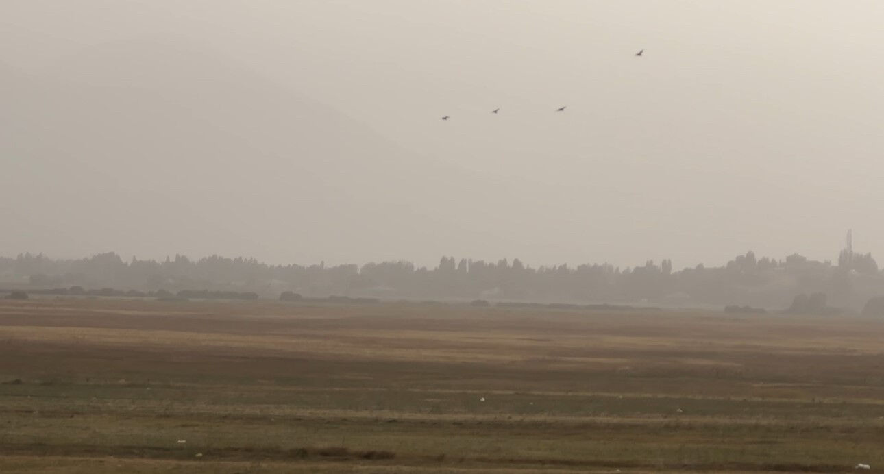 Irak ve Suriye'den geldi, bir ilçemizi çembere aldı! Film karelerini aratmıyor - 3. Resim