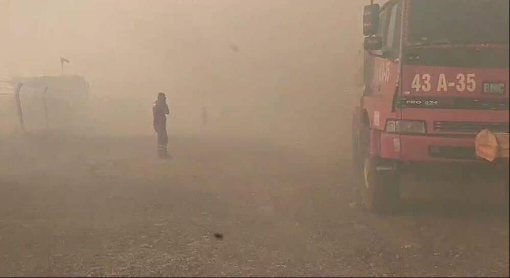 İzmir'in iki ilçesinde orman yangını! Alevlerle mücadele sürüyor - 4. Resim