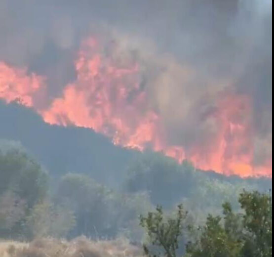İzmir'in iki ilçesinde orman yangını! Alevlerle mücadele sürüyor - 5. Resim