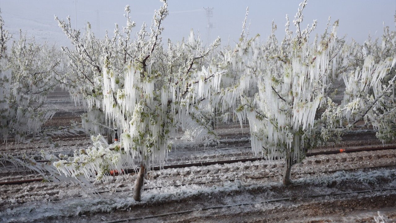 Para etmezse hayat durur! Dünyada rakipsiziz fakat... - 1. Resim