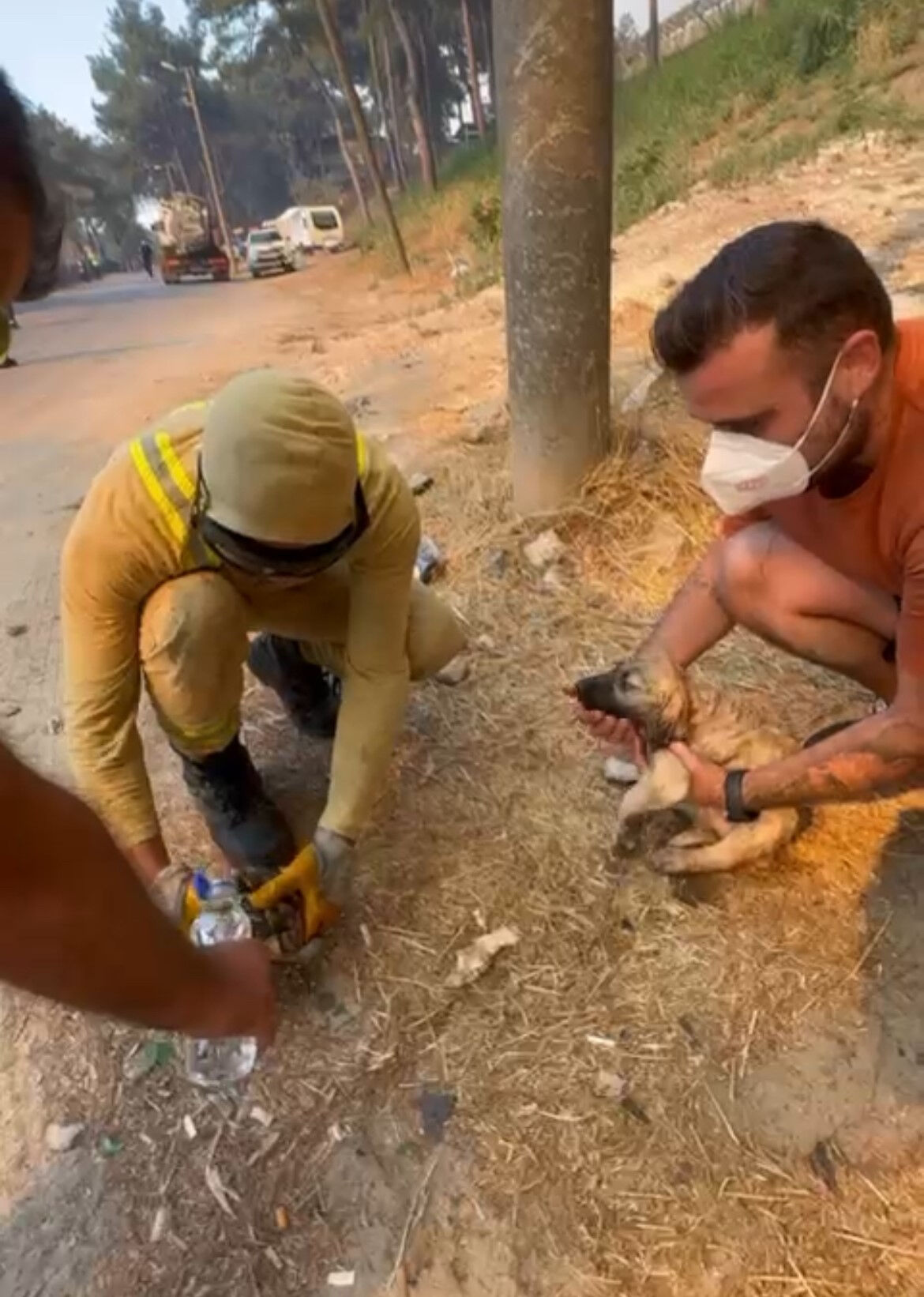 Yangın kahramanları alevlerin arasından aldı! Kaplumbağa ve köpek yavrusu son anda kurtarıldı - 3. Resim