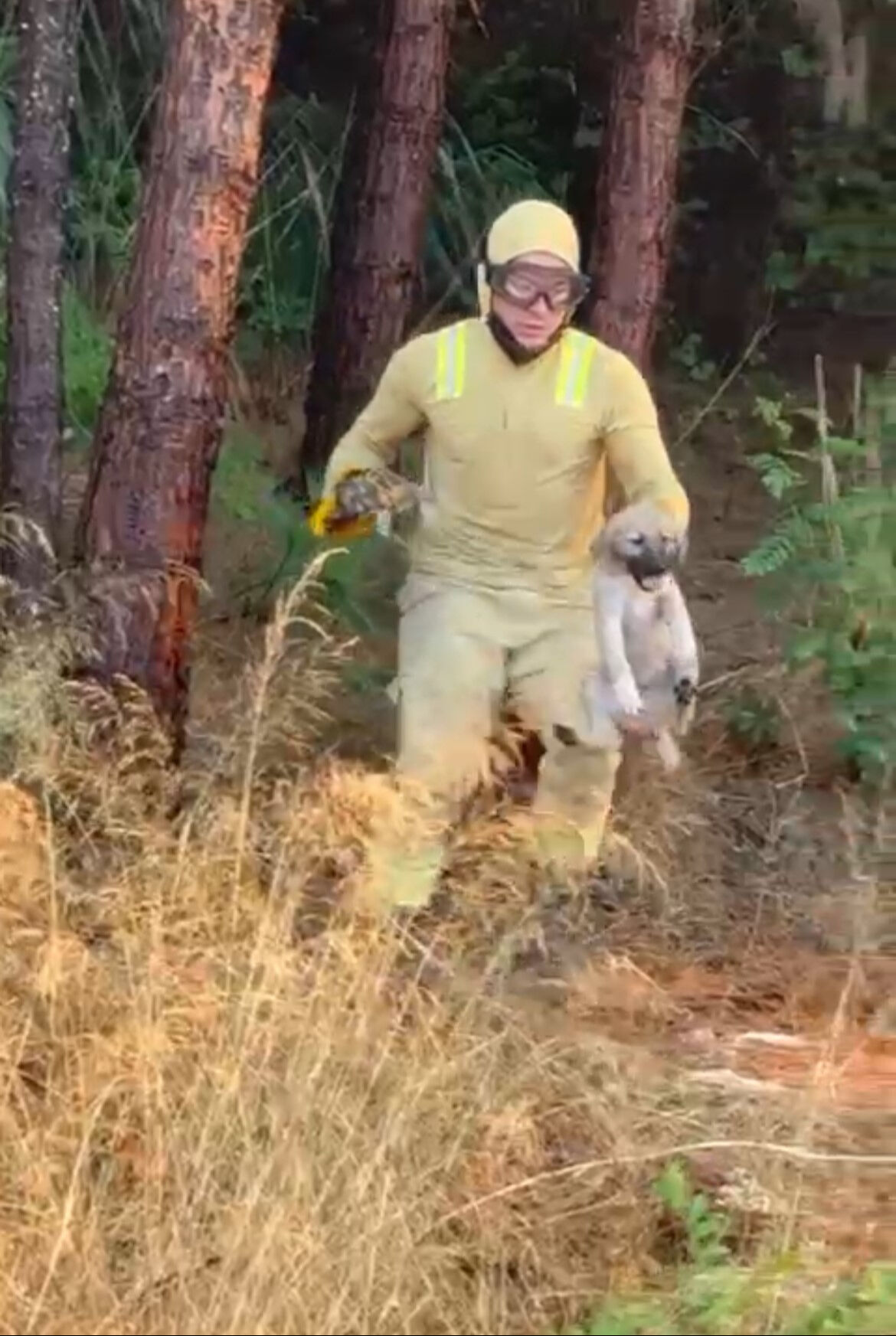 Yangın kahramanları alevlerin arasından aldı! Kaplumbağa ve köpek yavrusu son anda kurtarıldı - 2. Resim