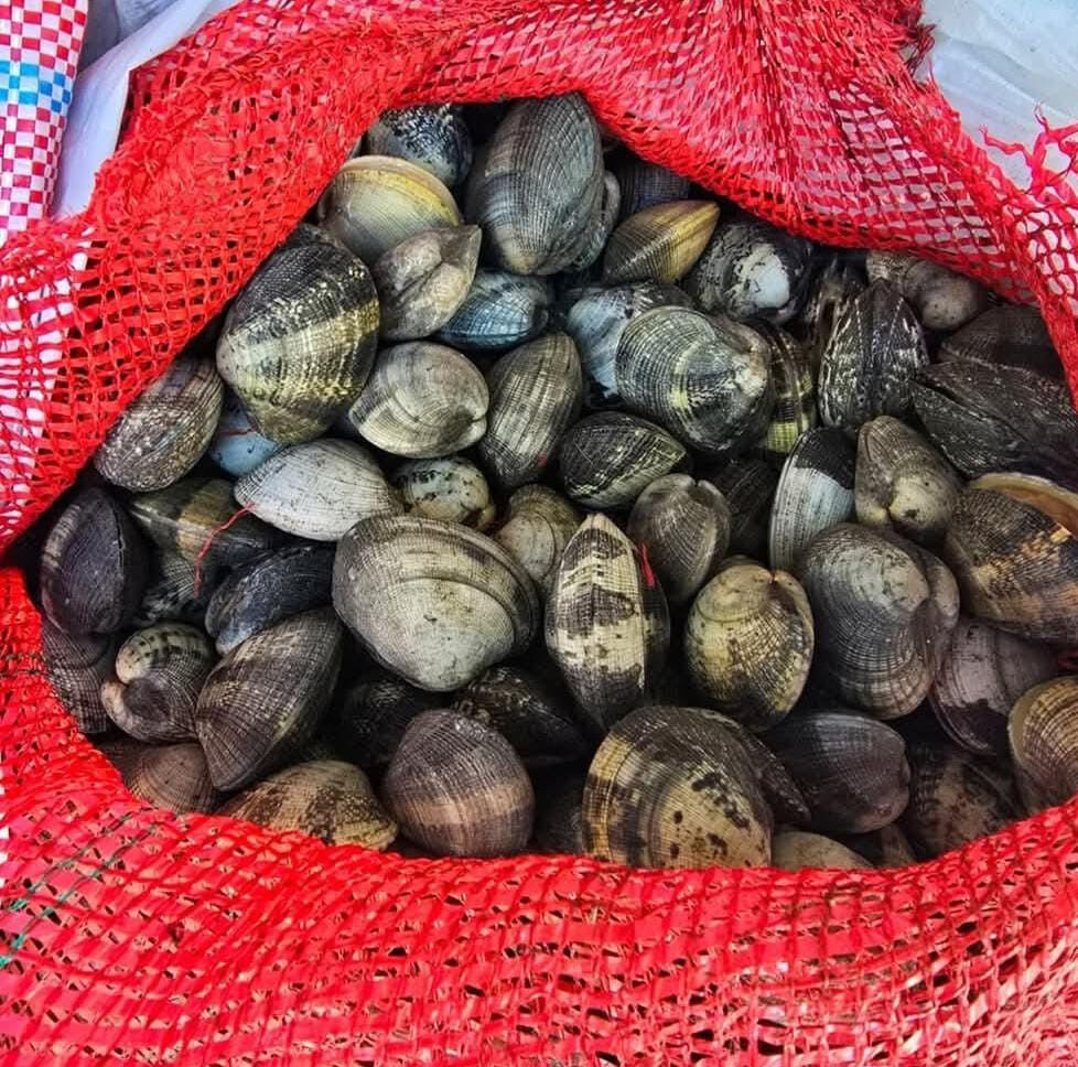 650 kilo toplayıp yurtdışına kaçırmaya çalıştılar! 2 milyonluk ceza geldi - 1. Resim