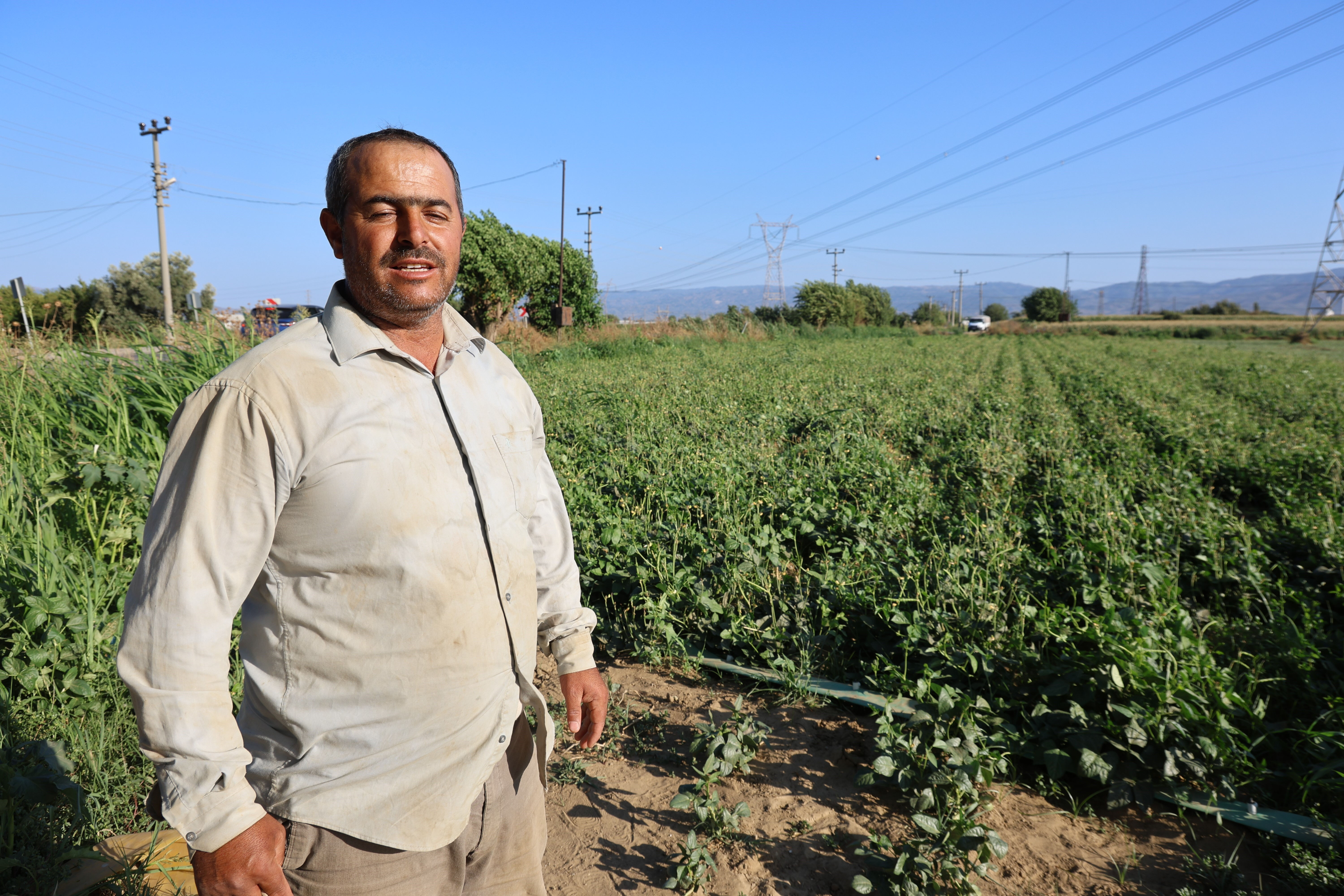 Aydın'da çiftçilerin mesai saatleri değişti! İşte nedeni... - 1. Resim