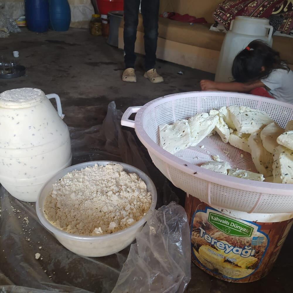 Hepsini kuma gömüyorlar! Olgunlaşması 6 ay... Almak için 3 ay önceden bildirmek gerekiyor - 1. Resim