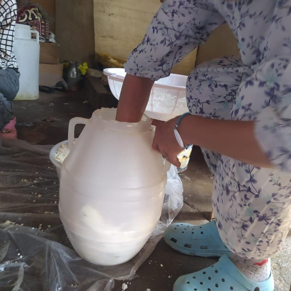 Hepsini kuma gömüyorlar! Olgunlaşması 6 ay... Almak için 3 ay önceden bildirmek gerekiyor - 2. Resim