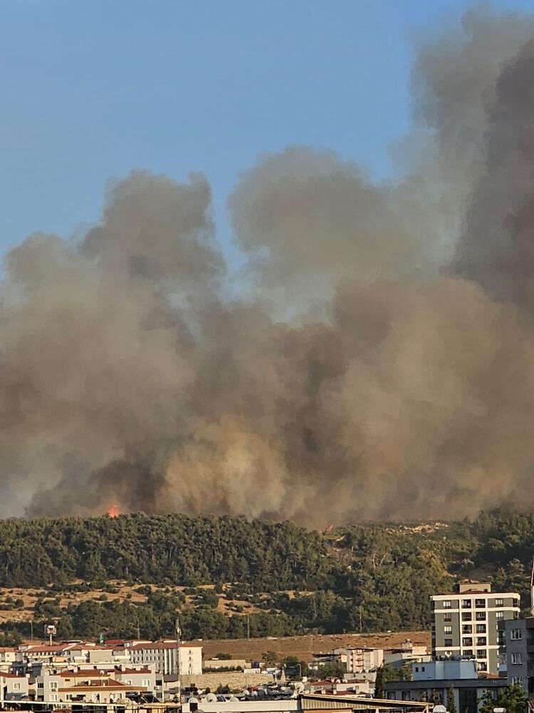 İzmir'de orman yangını sürüyor! Gün ağarınca hava müdahalesi yeniden başladı - 1. Resim