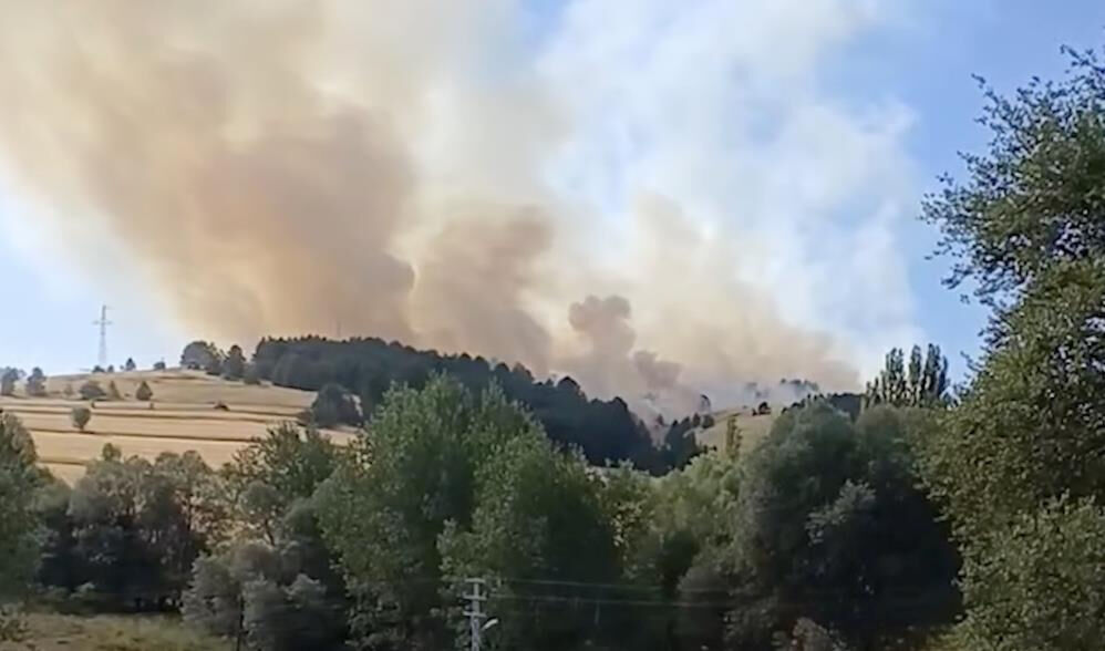 Kabus sürüyor! Mersin'de orman yangını, 3 mahalle tahliye edildi - 5. Resim