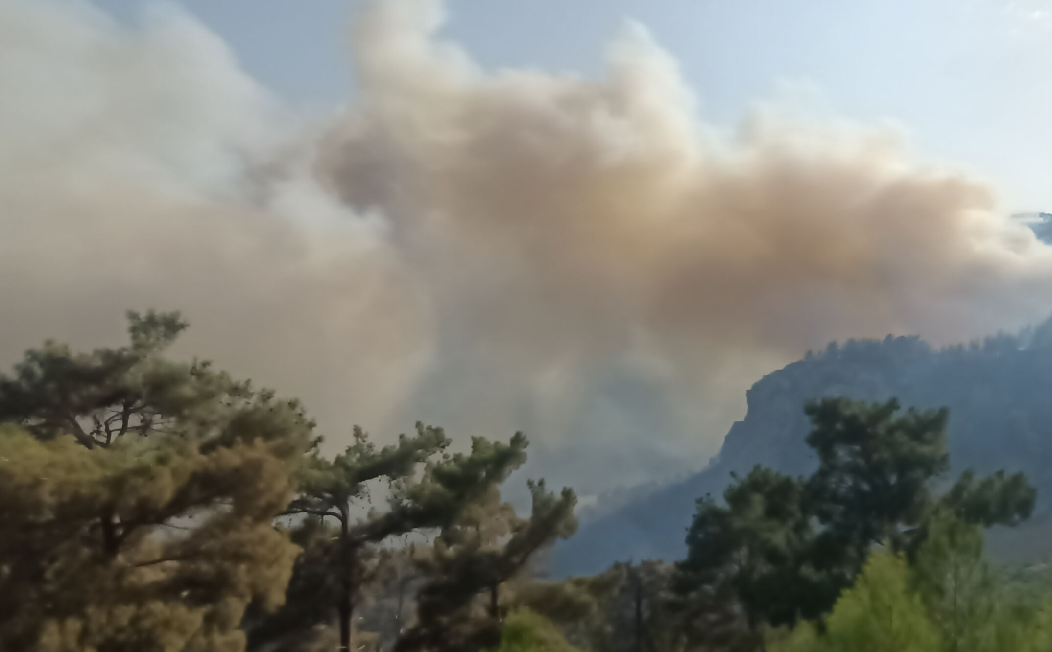 Kabus sürüyor! Mersin'de orman yangını, 3 mahalle tahliye ediliyor - 3. Resim