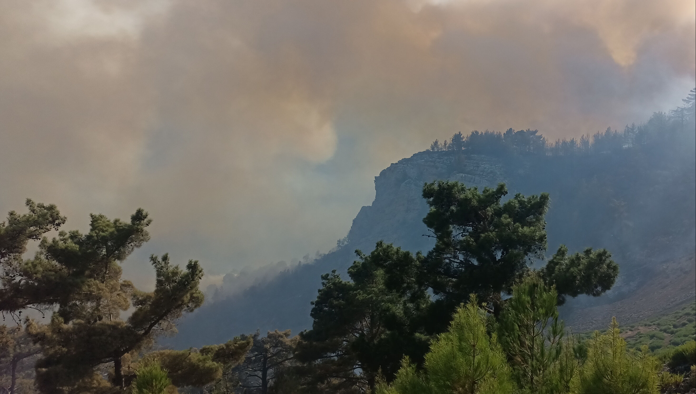 Kabus sürüyor! Mersin'de orman yangını, 3 mahalle tahliye ediliyor - 2. Resim