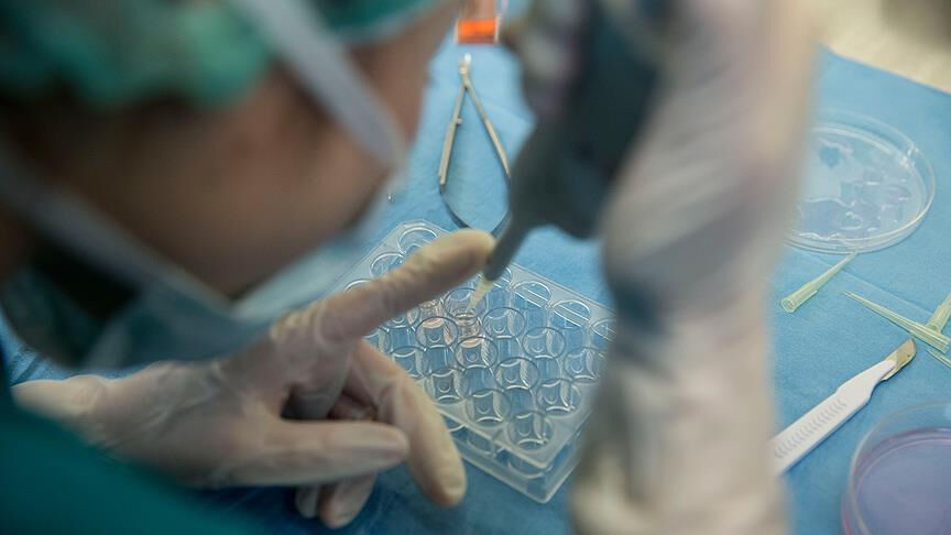 Ölümcül hastalık tarihe karışıyor! Geliştirilen aşı, kanserli hücreleri temizledi - 1. Resim