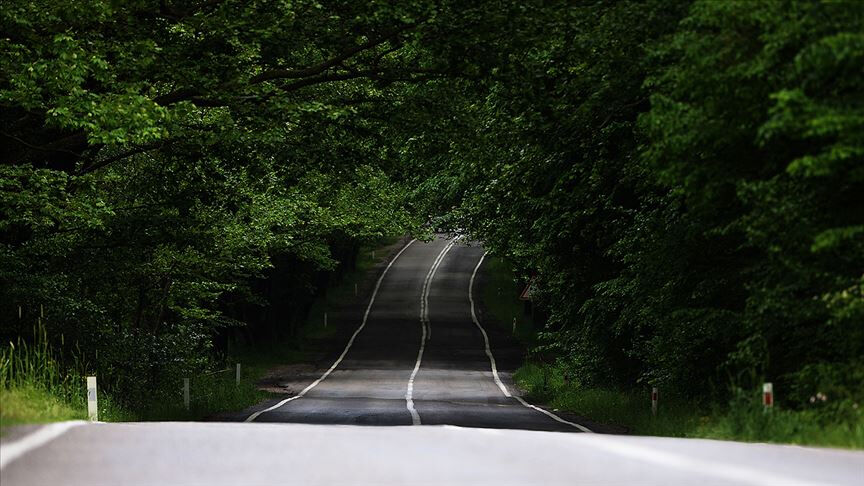 Orman yangınları sonrası harekete geçildi! İşte 5 yıllık yol haritası - 3. Resim
