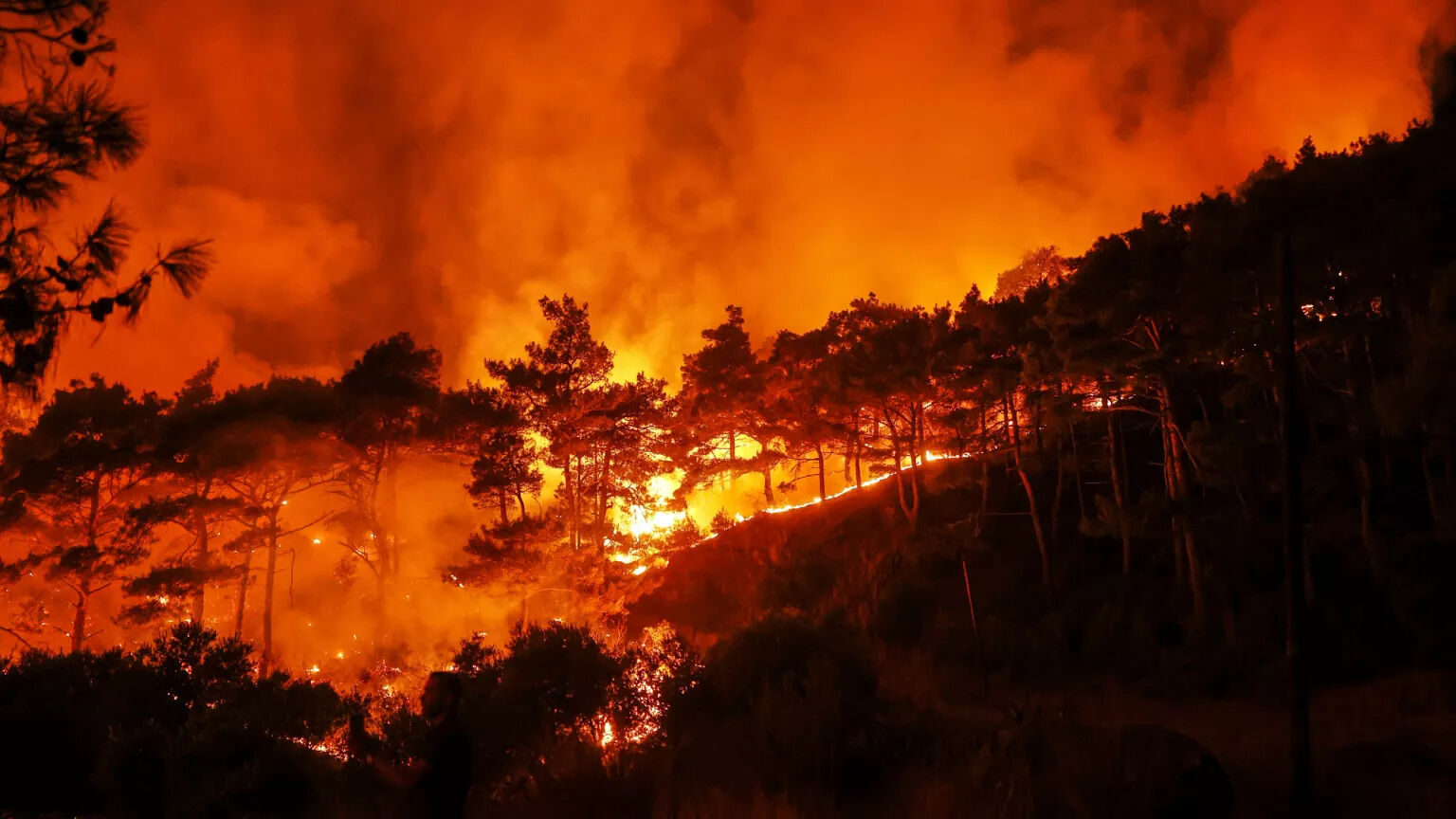 Suriye'de orman yangınları: 6 ayrı noktada çıktı - 1. Resim