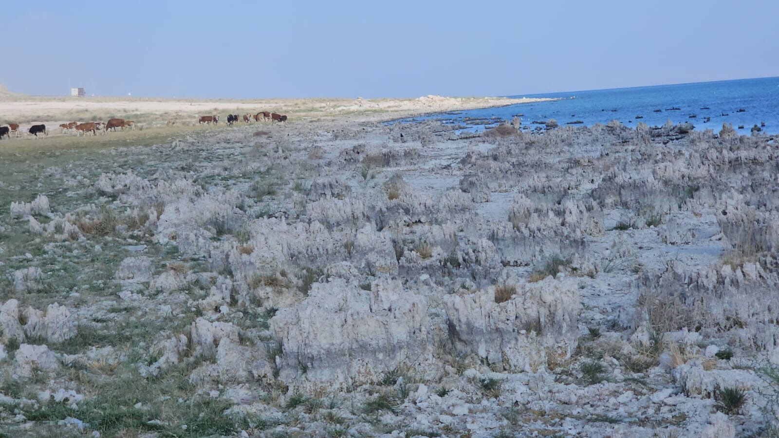 Türkiye'nin en büyüğü için tehlike çanları çalıyor! Tarım ve hayvancılık kötü etkilenecek - 3. Resim