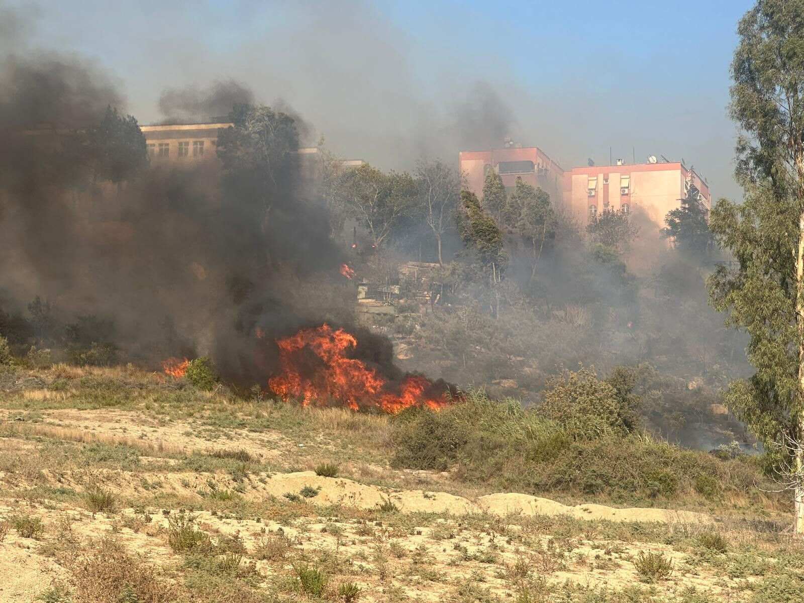 Adana'da yerleşim yerine yakın ağaçlık alanda alevler yükseldi! 112 ekipleri bölgeye intikal ediyor - 1. Resim