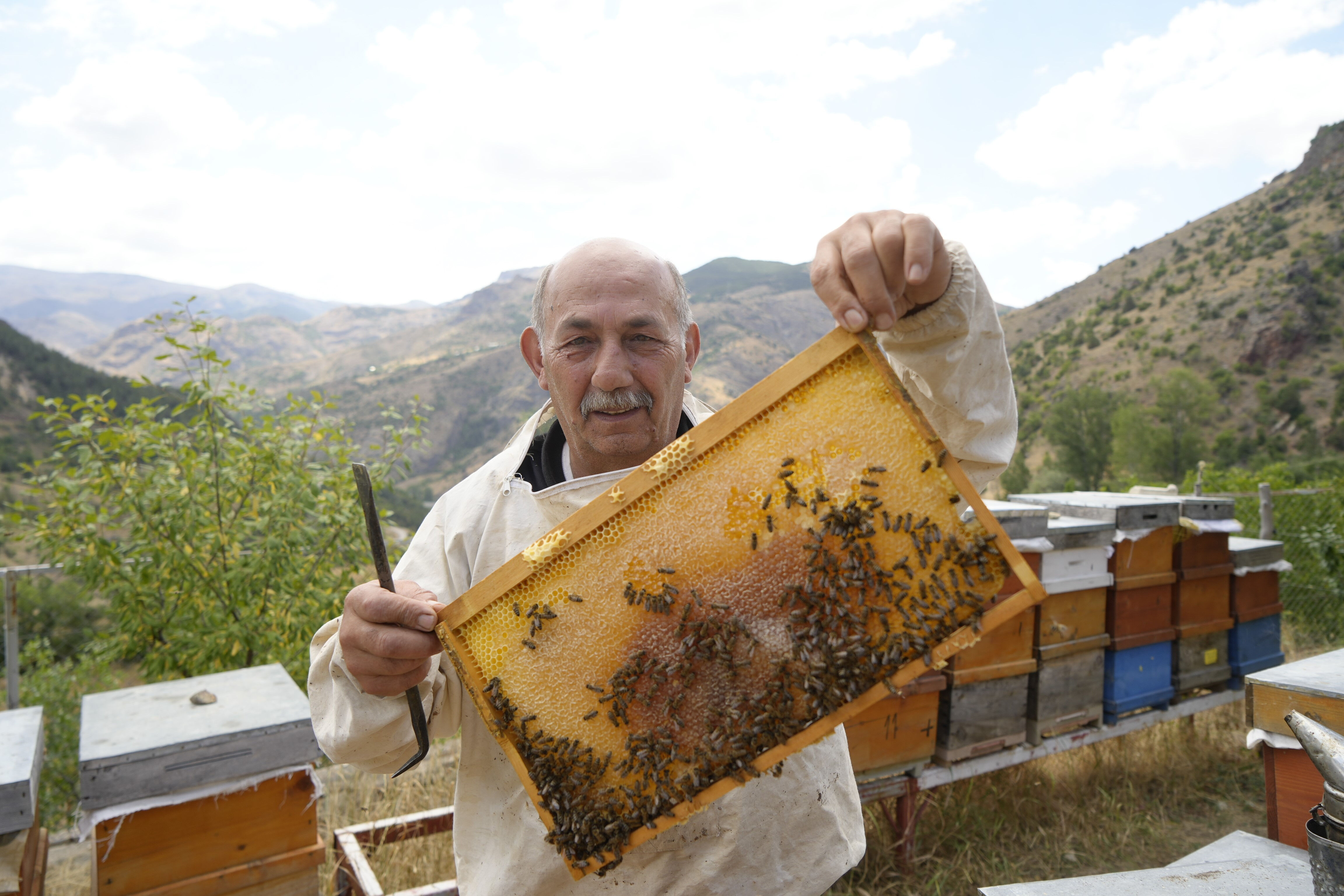 Anzer balına rakip gösteriliyor! Kovan başına 20 kilo hasat! Kilosu 800 TL'den başlıyor, 2 bin TL'ye çıkıyor - 3. Resim