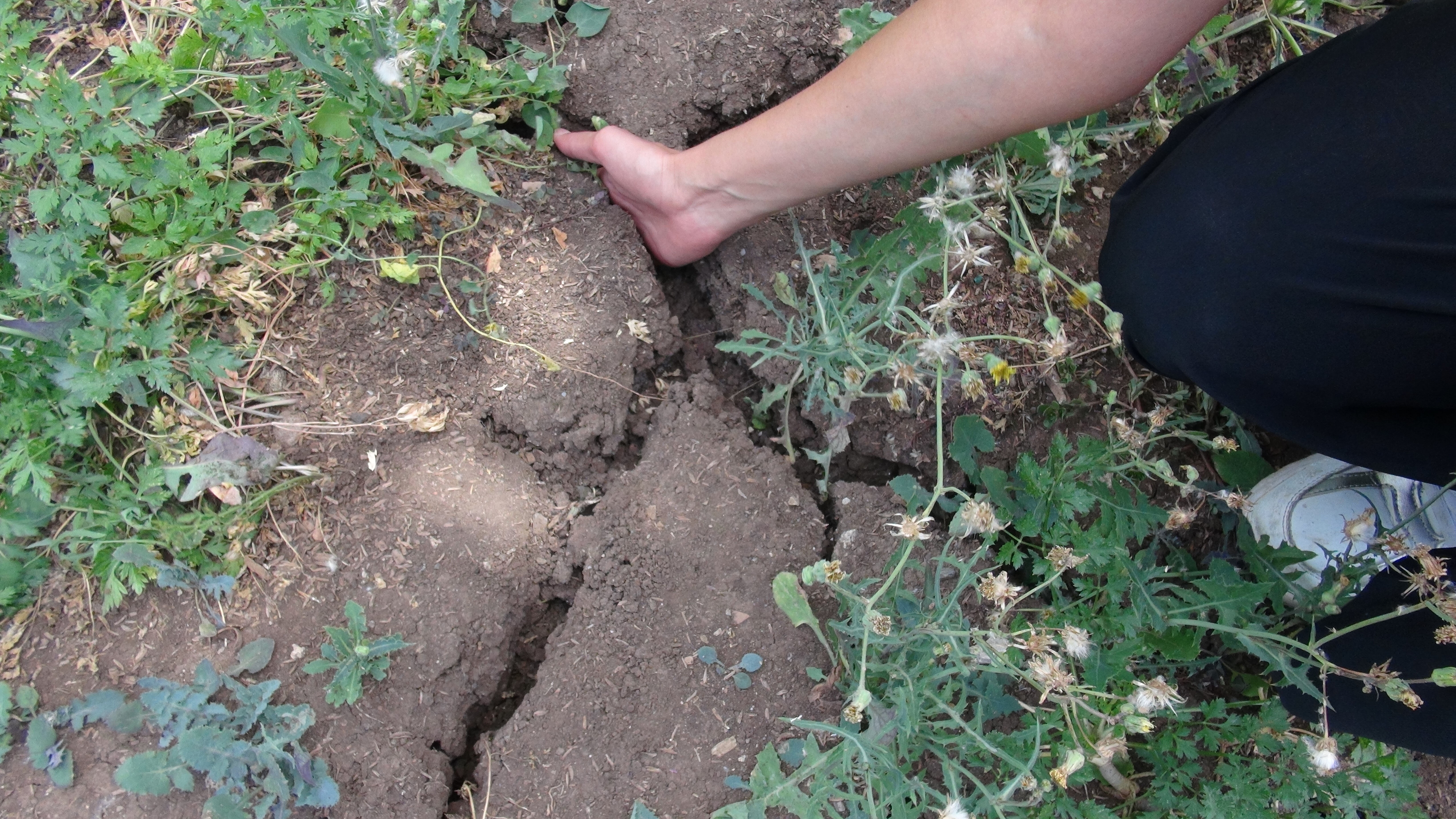 Bir kentte 'bulut dağıtma bombası' iddiası! Dua sonrası ses geldi, yağmur gelmedi - 1. Resim