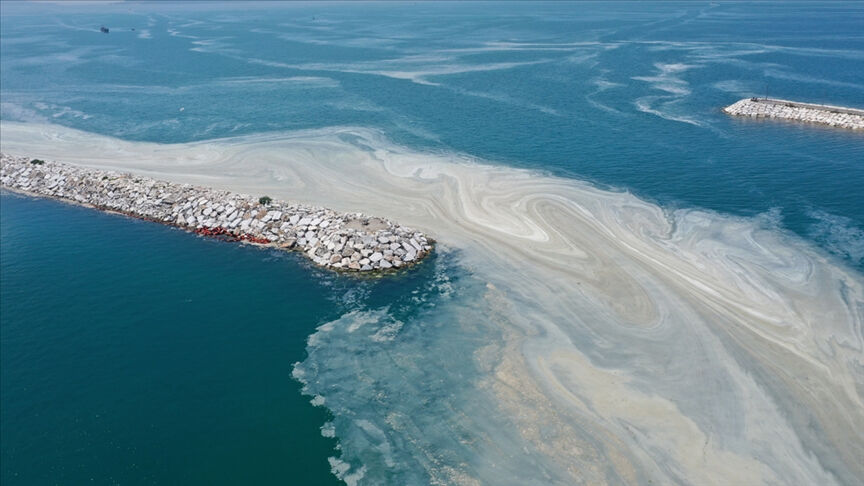 Müsilaj denetiminde rekor ceza: 822 milyon TL, 55 tesis mühürlendi - 1. Resim