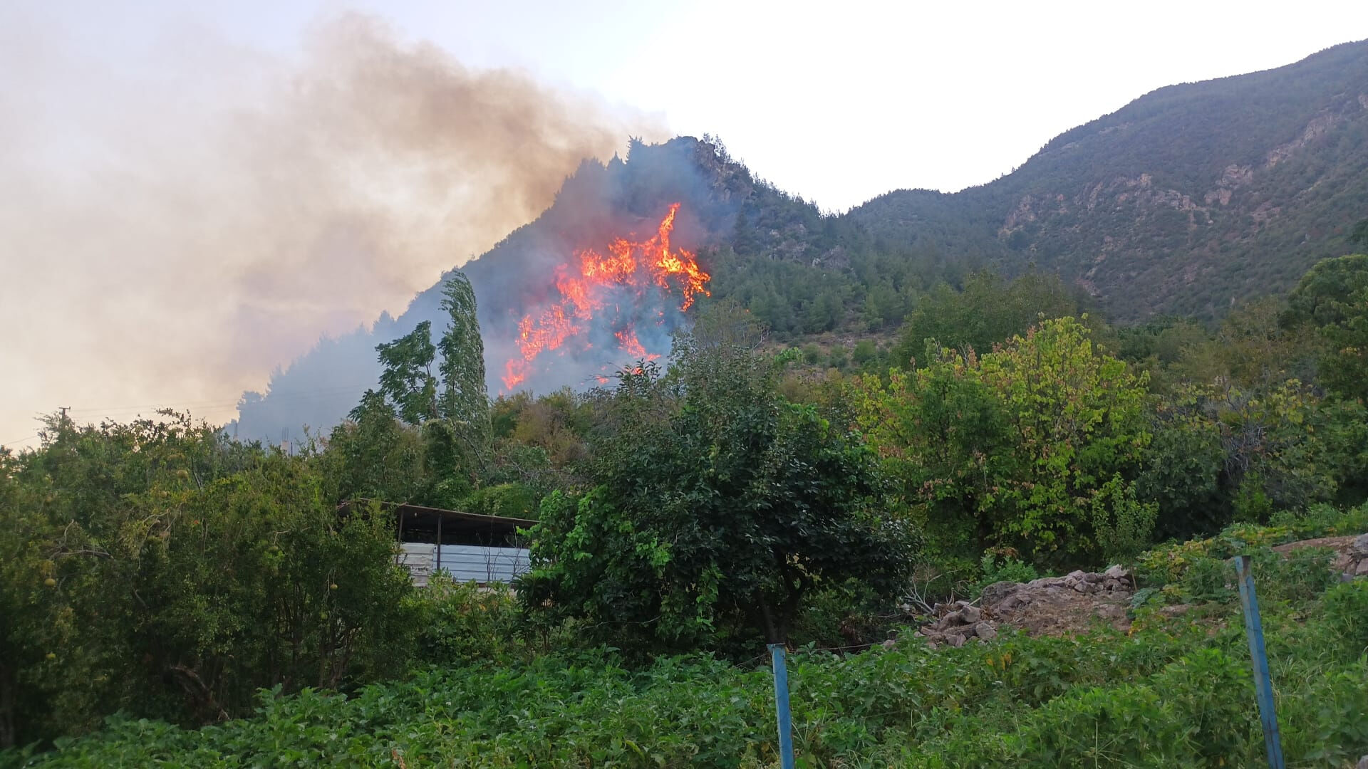 Orman yangınlarında son durum: Mersin'in 2 ilçesinde alevlerle mücadele - 4. Resim