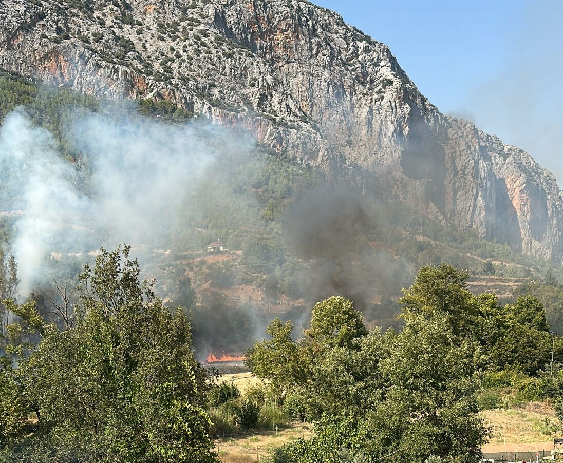 Orman yangınlarında son durum: Mersin'in 2 ilçesinde alevlerle mücadele - 3. Resim