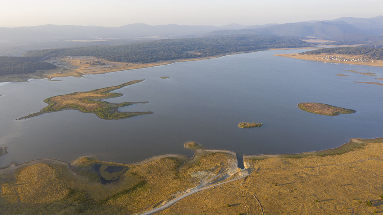 Seben Gölü'nün adacıklarını inekler bastı, köylüler şaşkına döndü - 7. Resim