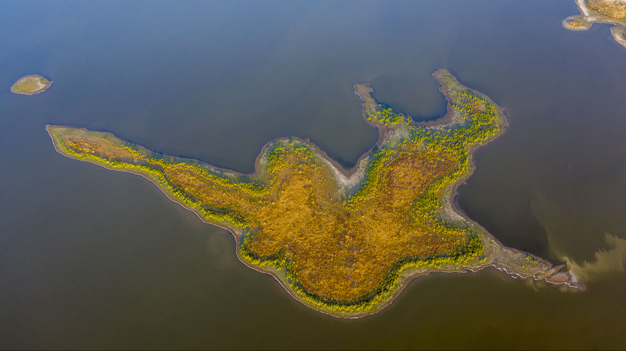Seben Gölü'nün adacıklarını inekler bastı, köylüler şaşkına döndü - 2. Resim