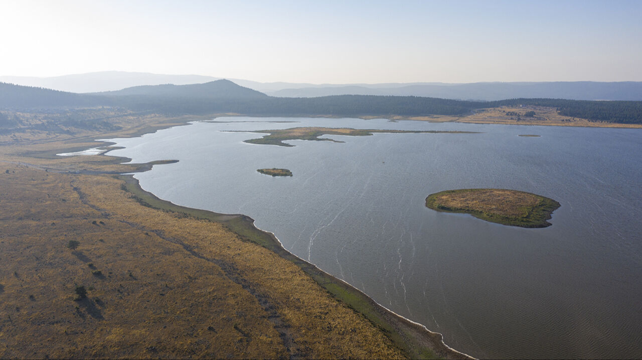Seben Gölü'nün adacıklarını inekler bastı, köylüler şaşkına döndü - 5. Resim