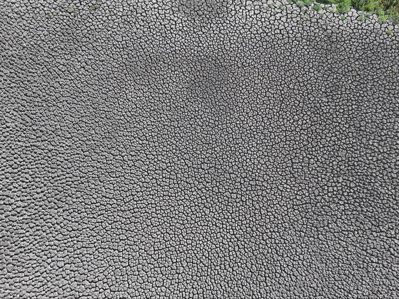 Şehir alarm veriyor! Sıcaklar bir göleti daha kuruttu - 3. Resim