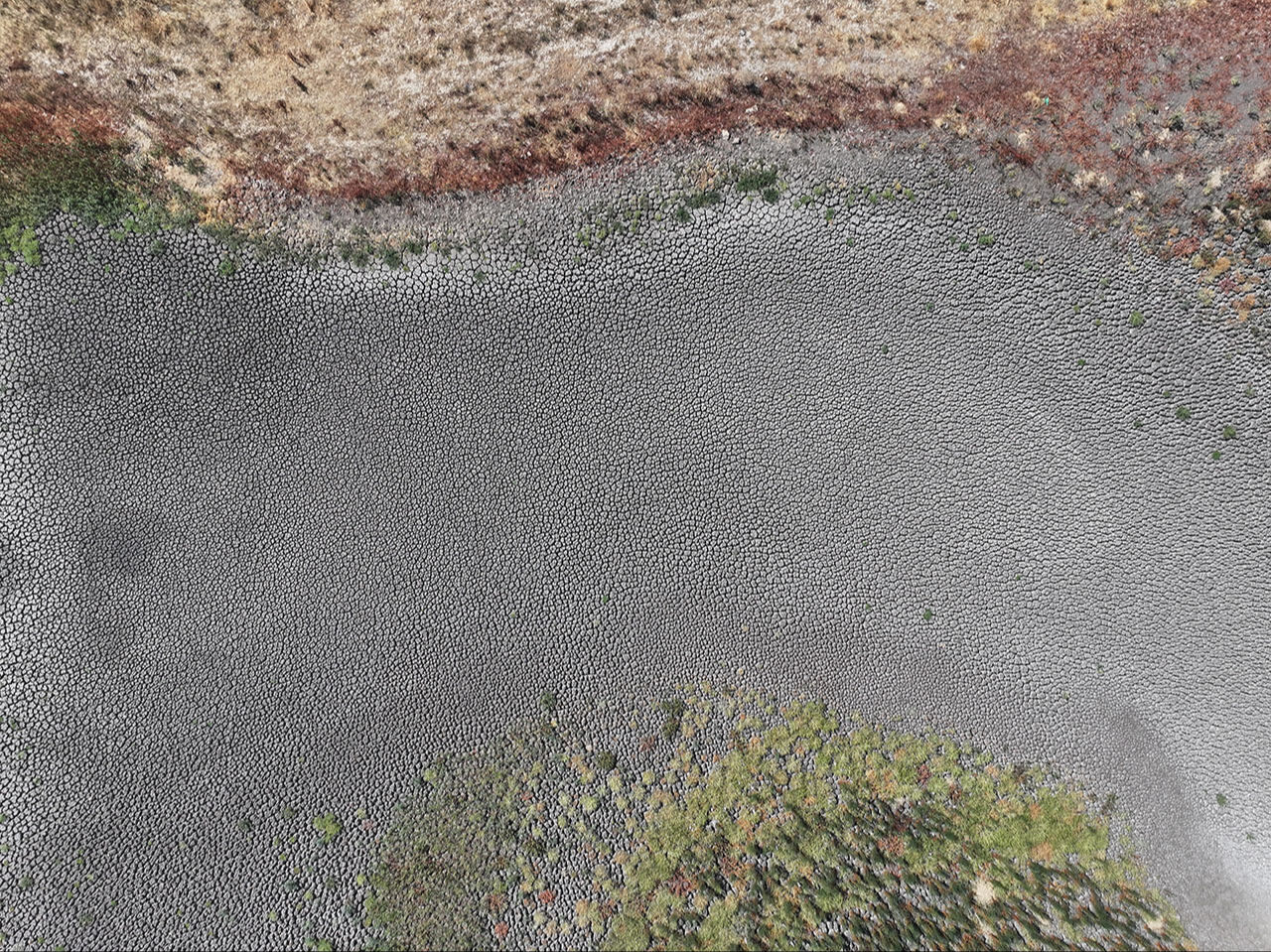 Şehir alarm veriyor! Sıcaklar bir göleti daha kuruttu - 2. Resim