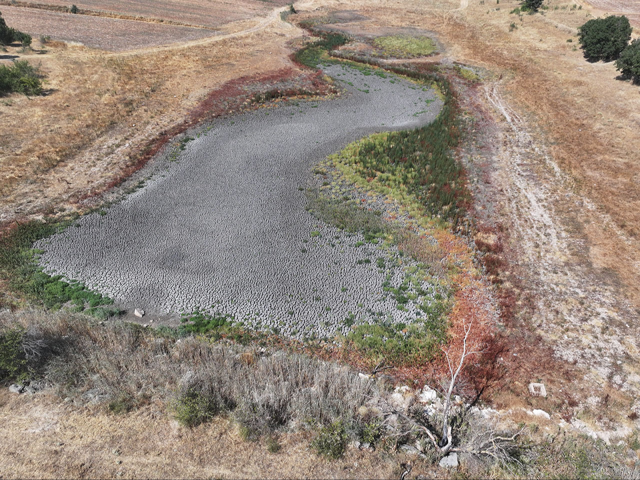 Şehir alarm veriyor! Sıcaklar bir göleti daha kuruttu - 1. Resim