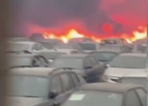 Yunanistan felaketi yaşıyor! Orman yangını otoparka sıçradı: 550 araç küle döndü - 1. Resim