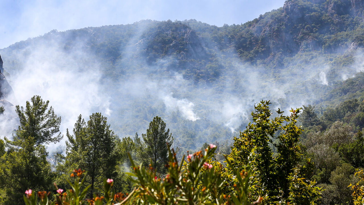 5 ilde ciğerlerimiz yanıyor! Büyük orman yangınının dumanı komşu kentin üzerini kapladı - 12. Resim