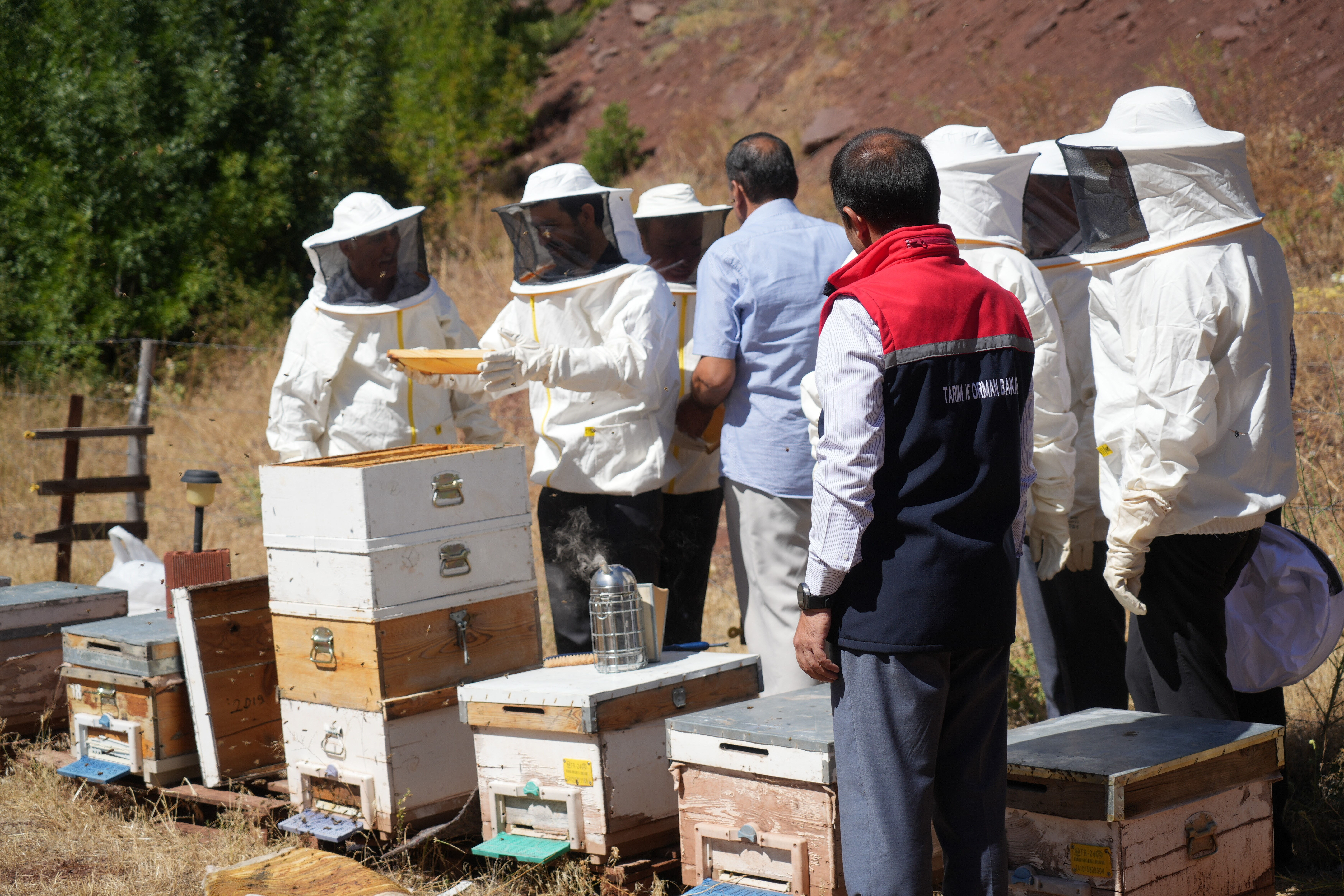 Erzincan&rsquo;da Geven Balı hasadı yapıldı - 1. Resim