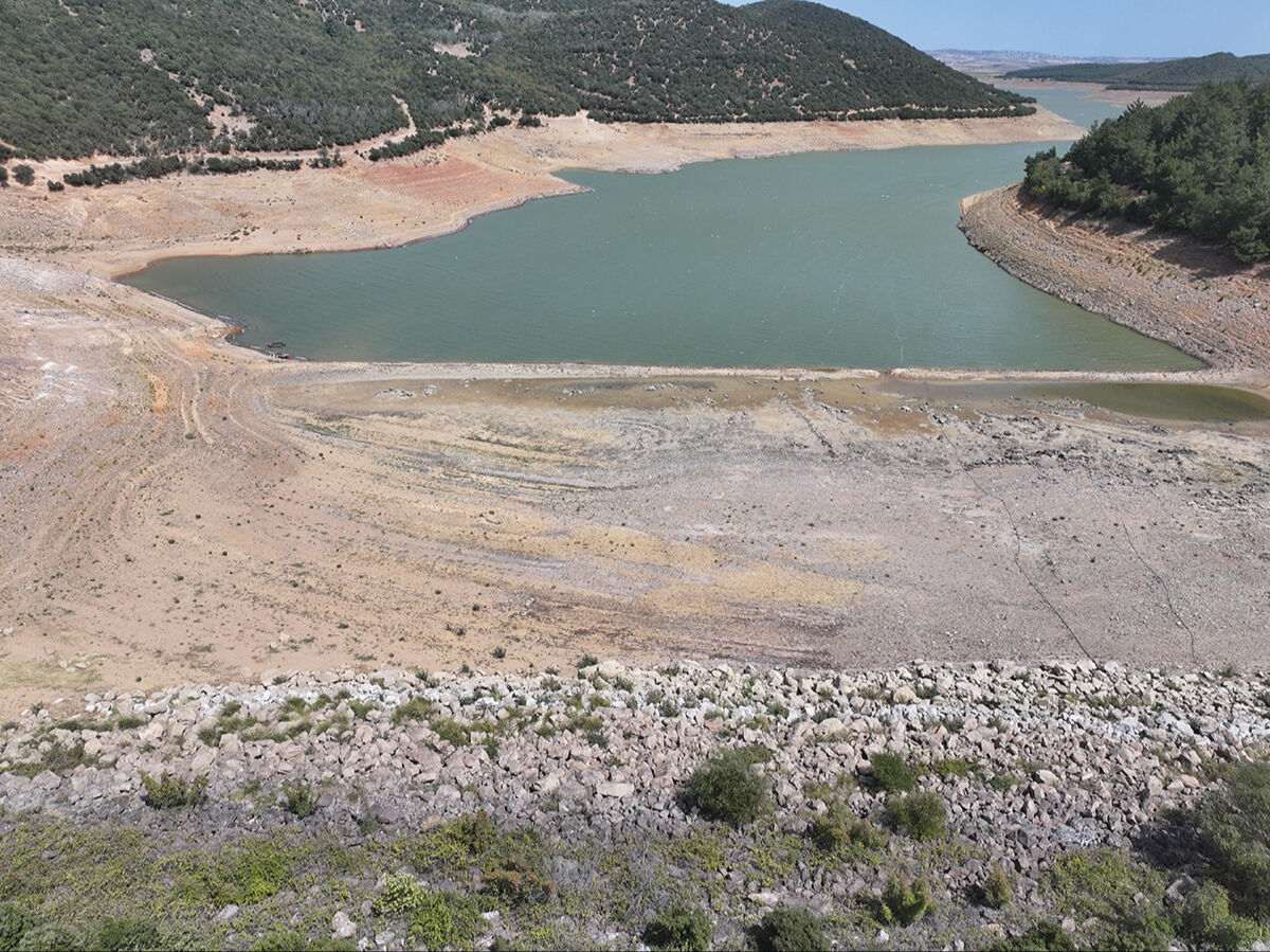 Kadıköy Barajı'nda korkutan manzara: On binlerce insan susuz kalabilir - 1. Resim