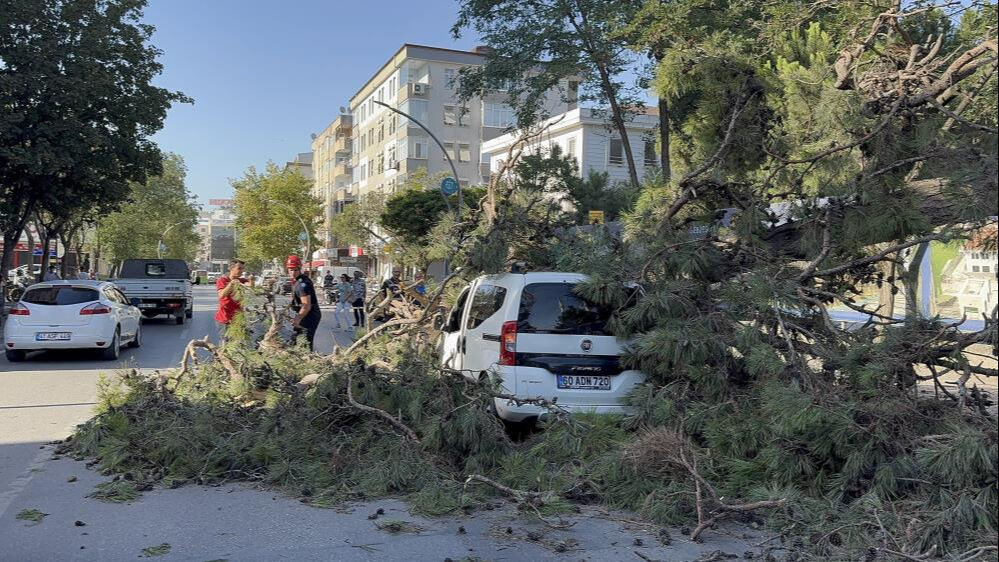 Kocaeli'de korkutan olay: Aracıyla düz yolda giderken üzerine ağaç devrildi! - 2. Resim