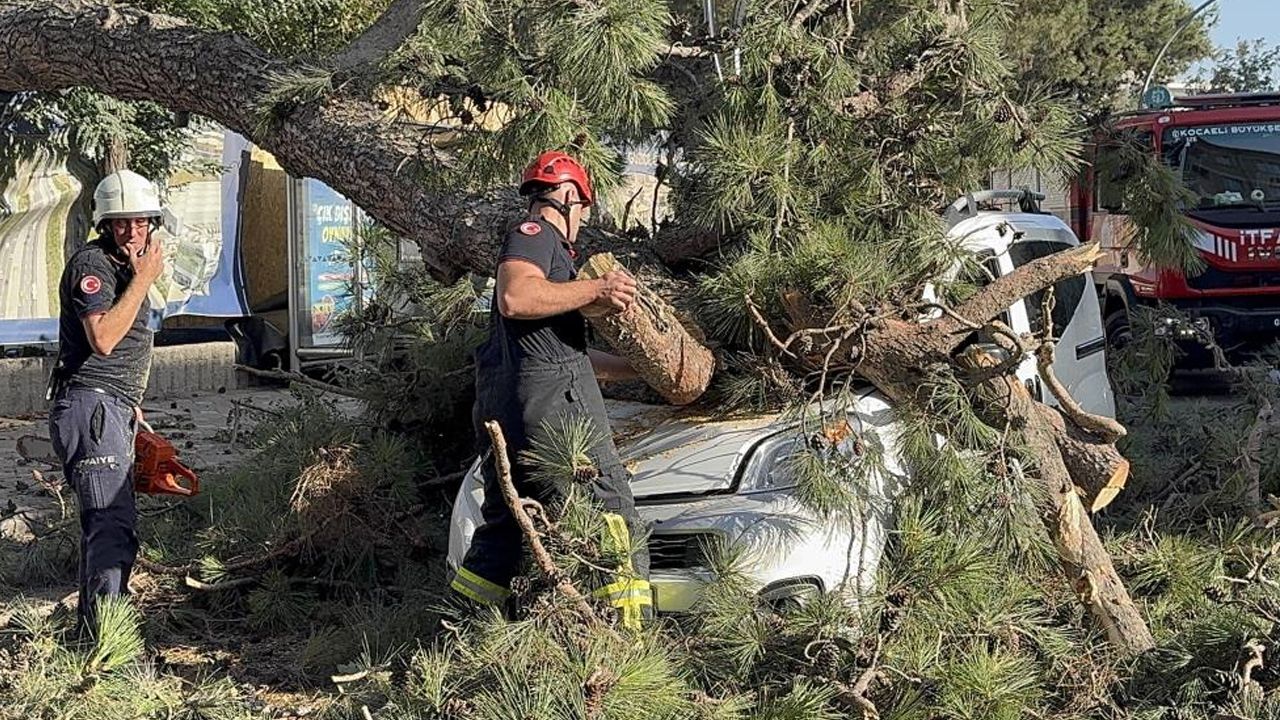 Kocaeli&#039;de korkutan olay: Aracıyla düz yolda giderken üzerine ağaç devrildi!